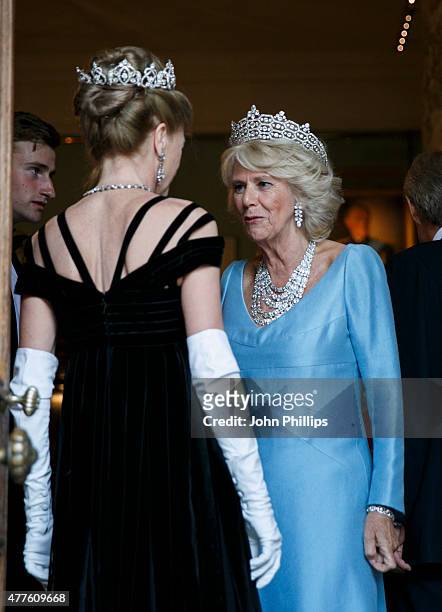 Camilla, Duchess Of Cornwall attends The Duke of Wellington's Waterloo banquet at Apsley House on June 18, 2015 in London, England.