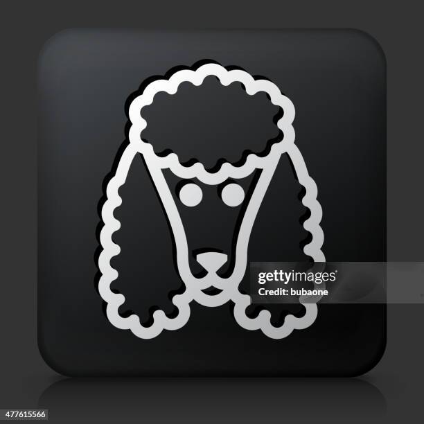 black square button with poodle dog - dog black background stock illustrations