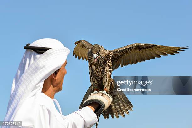 emiratee with saker falcon - saker falcon falco cherrug stock pictures, royalty-free photos & images