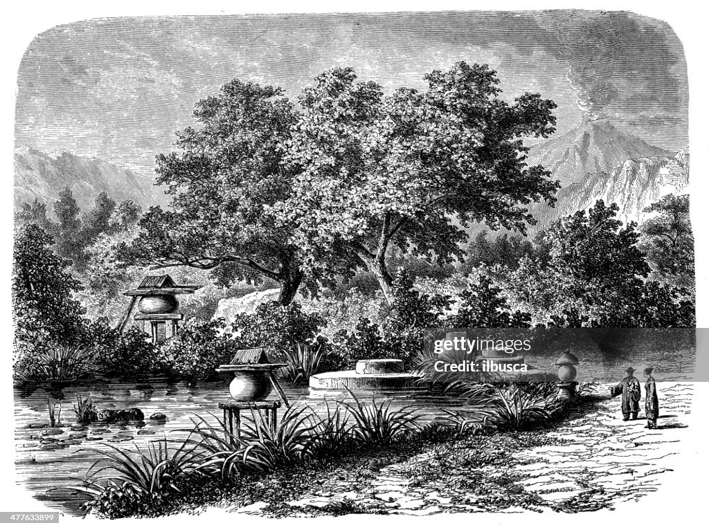 Antique illustration of Japanese garden