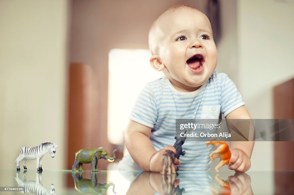 Young boy playing with toy animals