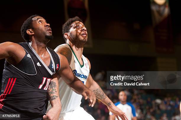 Royce White of the Reno Bighorns boxes CJ Leslie of the Idaho Stamped March 7, 2014 at the Reno Events Center in Reno, Nevada. NOTE TO USER: User...
