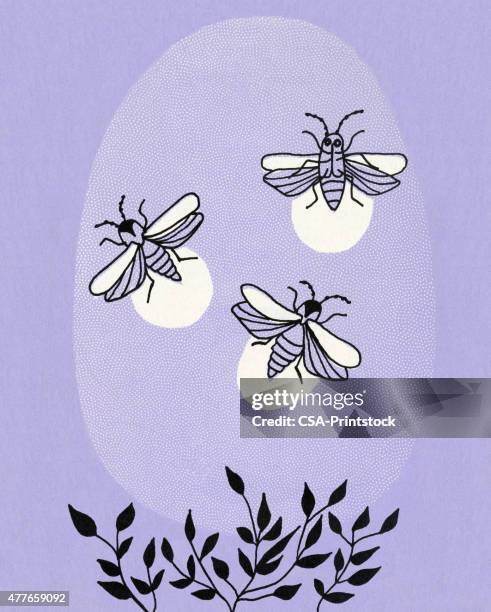 fireflies - lightning bugs stock illustrations