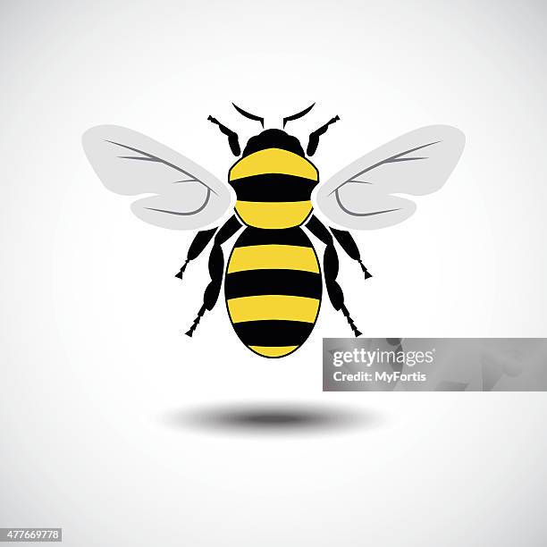 the bee. - bee-cartoon-drawing stock illustrations
