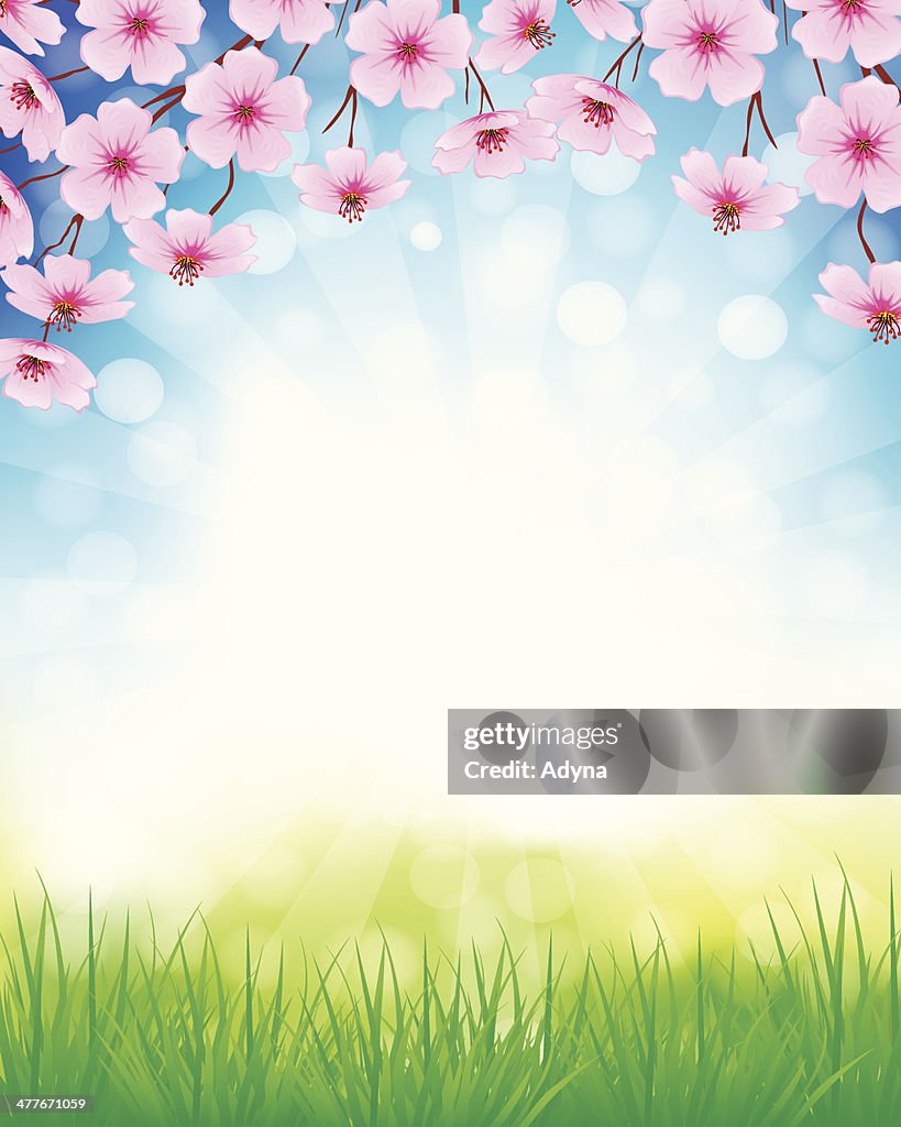 Spring Frame Drawing Spring Frame High-Res Vector Graphic - Getty Images