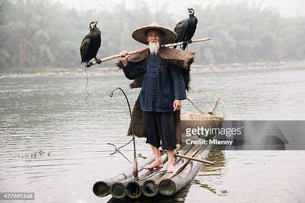 old chinese fisherman on wooden raft together with grey herons - fisherman isolated stock pictures, royalty-free photos & images