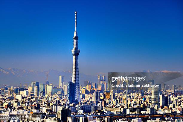 tokyo downtown skyline - tokyo sky tree stock-fotos und bilder