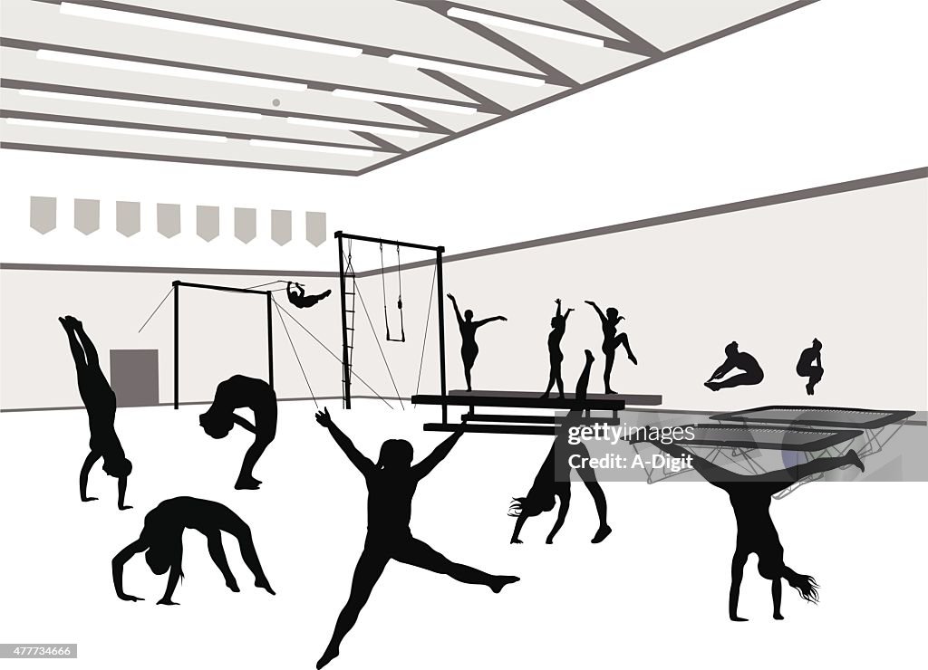 Gym And Gymnasts