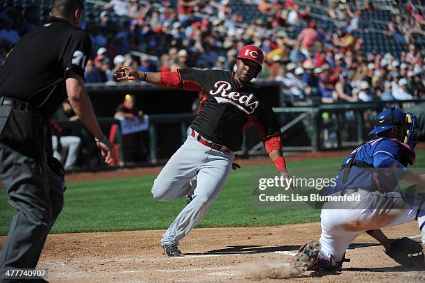 Chris Nelson of the Cincinnati Reds scores in the fifth inning against the Texas Rangers at Surprise Stadium on March 10, 2014 in Surprise, Arizona.