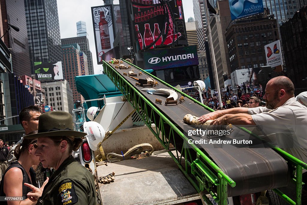 One Ton Of Confiscated Ivory Destroyed In New York's Times Square