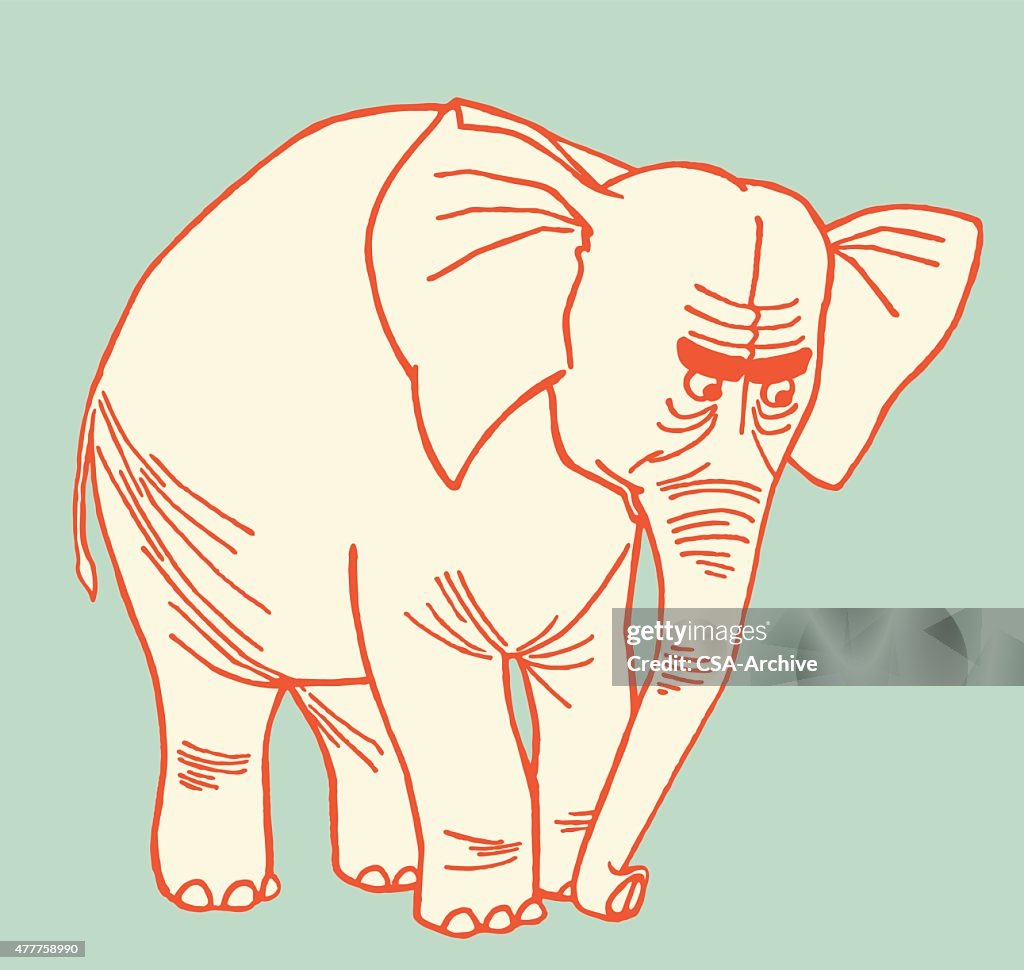 Angry Elephant