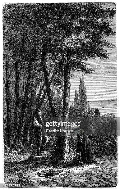 antique illustration of fraxinus ornus (manna ash) - ash tree stock illustrations