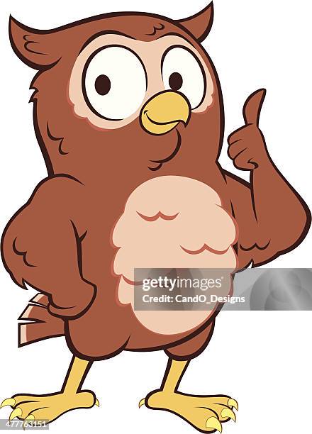 owl - thumbs up - funny owl stock illustrations