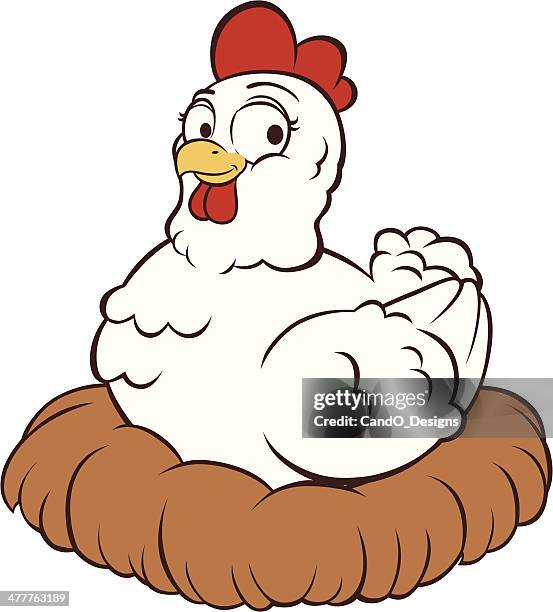 white hen - nest - chicken cartoons stock illustrations