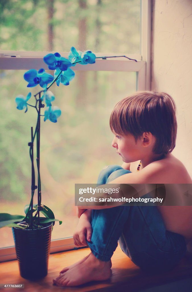 Boy with the blue orchid