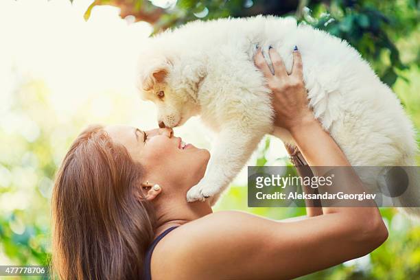 lovely husky baby puppy how kiss his female owner - dog kiss stock pictures, royalty-free photos & images