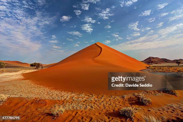 the beginning of the dune - désert du namib photos et images de collection