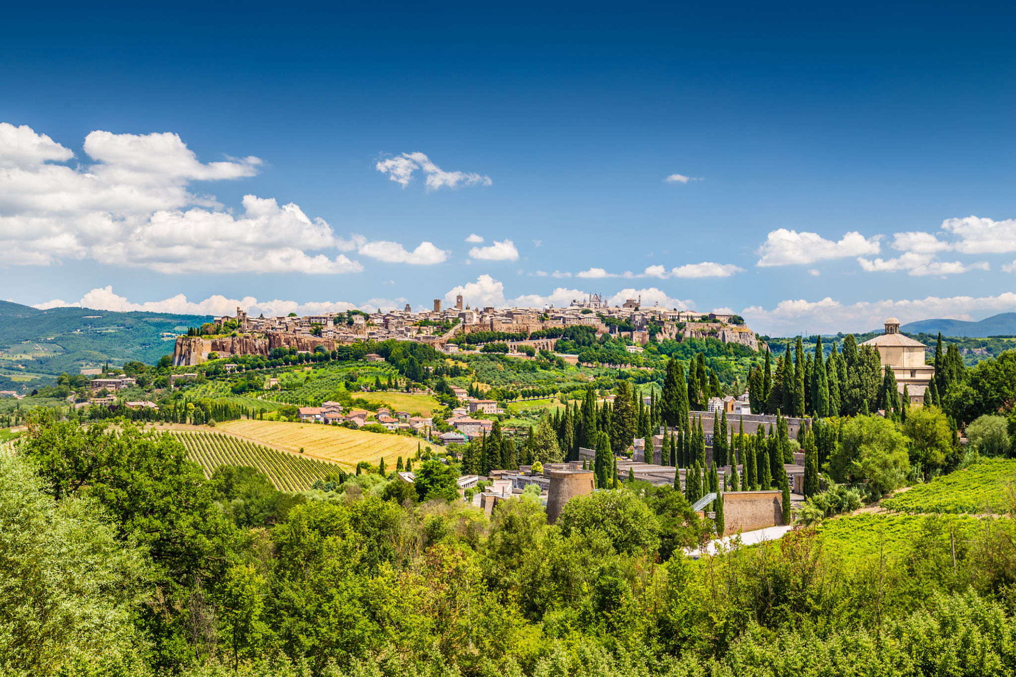 umbria wine