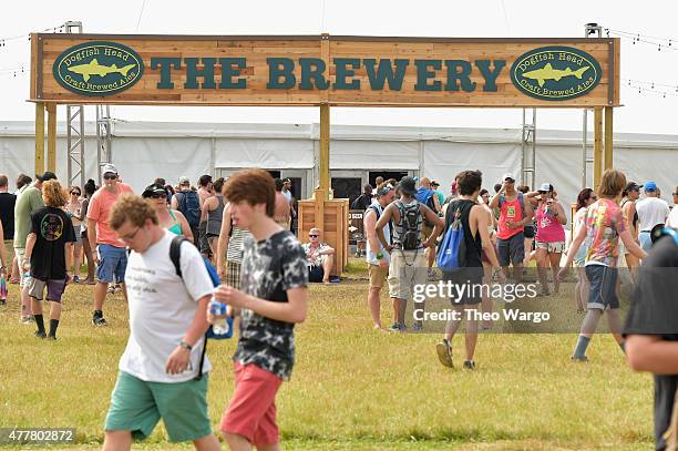 Guests attend day 2 of the Firefly Music Festival on June 19, 2015 in Dover, Delaware.