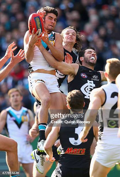 Chad Wingard of the Power marks whilst Dylan Buckley of the Blues attempts to spoil during the round 12 AFL match between the Carlton Blues and the...
