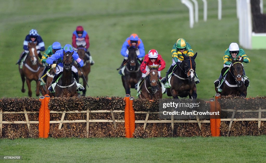 Cheltenham Festival - Champion Day