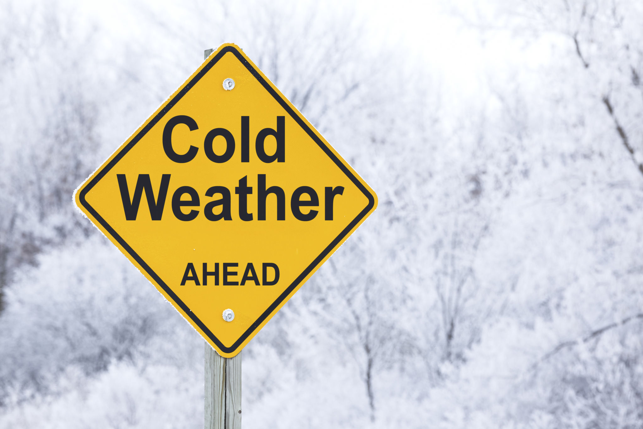 winter safety