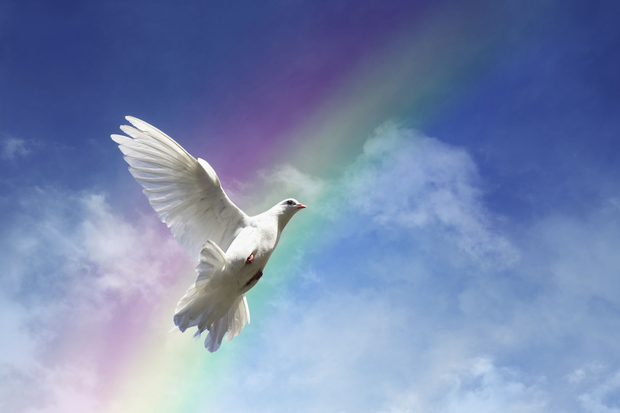 Freedom, peace and spirituality Freedom, peace and spirituality