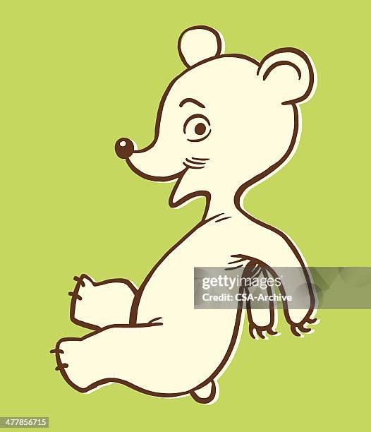 bear cub - bear cub stock illustrations
