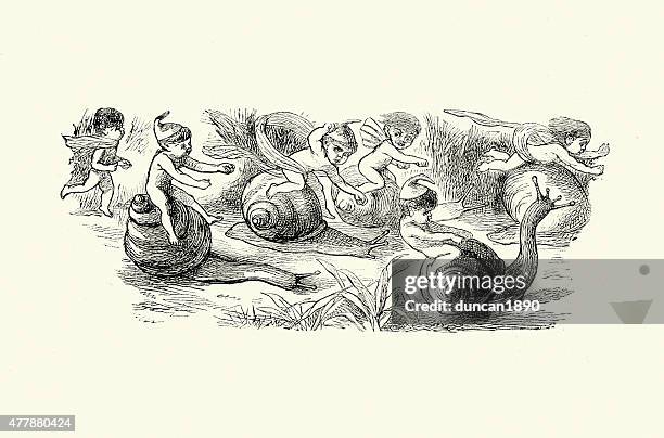 fairies racing on the backs of snails - slow motion stock illustrations