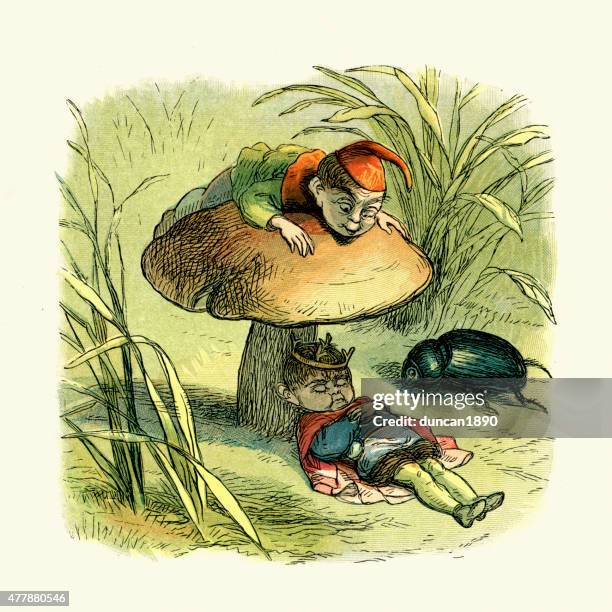 fairy king asleep under a toadstool - fairy stock illustrations