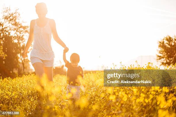 Walk In Field 8,092 Boy Walking In Field Stock Photos, High-Res Pictures, and Images ...