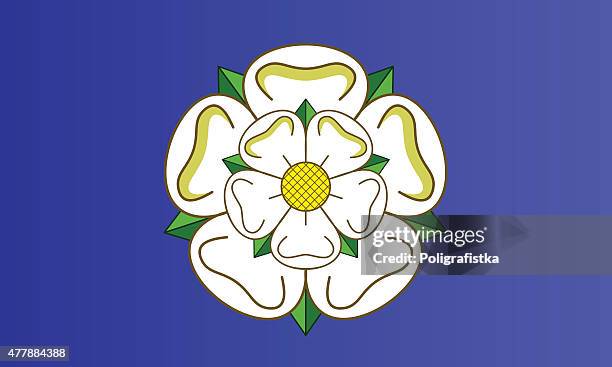 ilustrações de stock, clip art, desenhos animados e ícones de bandeira de yorkshire - yorkshire