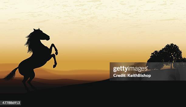 ilustraciones, imágenes clip art, dibujos animados e iconos de stock de cría de caballos en el crepúsculo fondo - rearing up