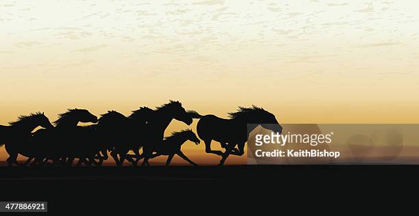 stockillustraties, clipart, cartoons en iconen met wild horse stampede background - running horses