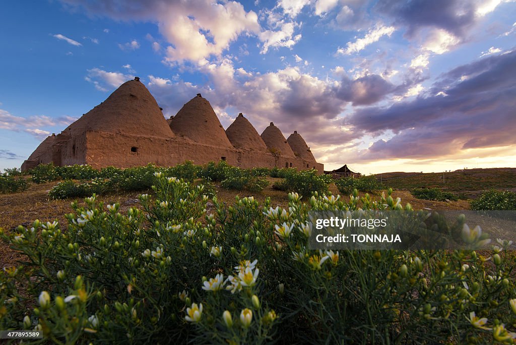 Harran Mud Houses