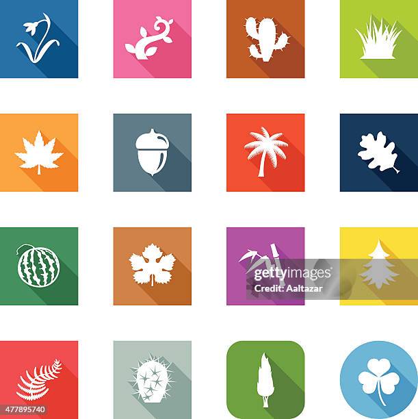 flat icons - botanic - botanik stock illustrations