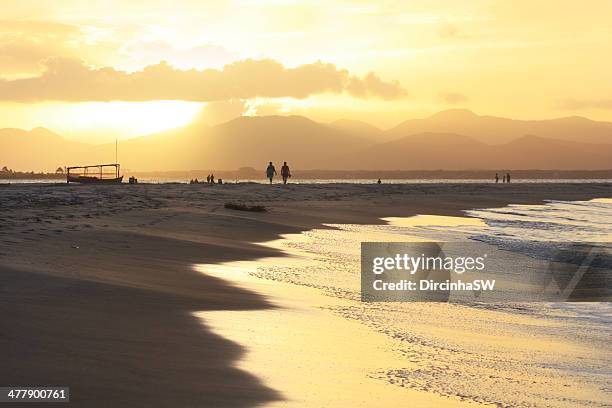 brazilian beach - forte beach stock-fotos und bilder