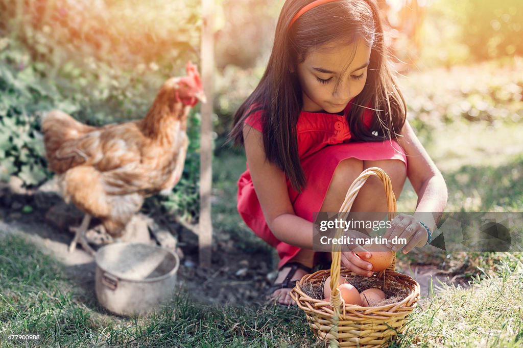 Girl gathering eggs from the coop