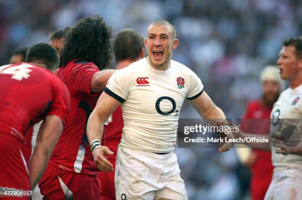 Mike Brown of England shouts at a touch judge during the RBS Six Nations match between England and Wales at Twickenham Stadium on March 9, 2014 in...