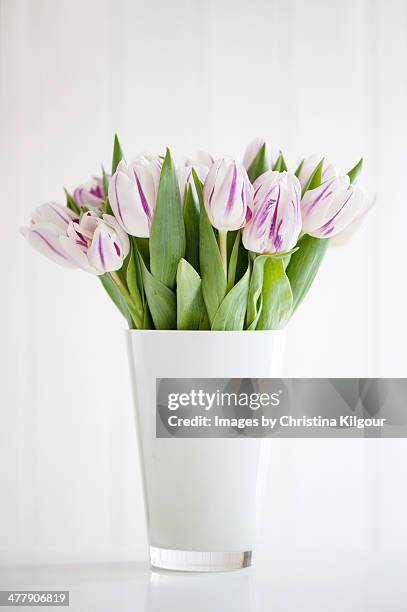 tulips in a white vase - vase stock-fotos und bilder