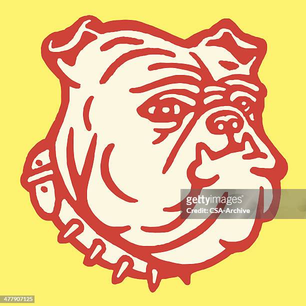 ilustraciones, imágenes clip art, dibujos animados e iconos de stock de bulldog usando collarín enriquecida - bulldog