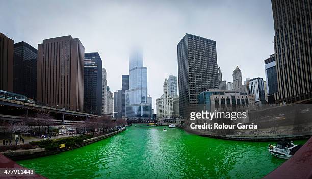 greening of the chicago river - rolour garcia stock pictures, royalty-free photos & images