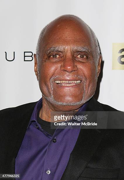 Bob Moses attends "All The Way" opening night at Neil Simon Theatre on March 6, 2014 in New York City.