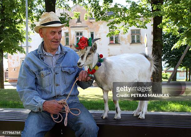Goat "Demele" and its owner wait for the start of a goat parade prior to a goat beauty contest in Ramygala, Lithuania, on July 20, 2015. Ramygala was...