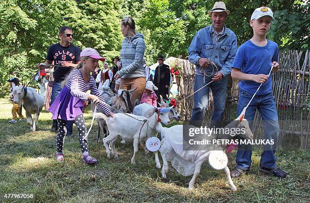 Goats are presented to competition judges during a goat beauty contest in Ramygala, Lithuania, on July 20, 2015. Ramygala was called the capital of...