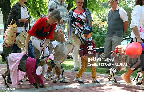 Goats are presented to competition judges during a goat beauty contest in Ramygala, Lithuania, on July 20, 2015. Ramygala was called the capital of...