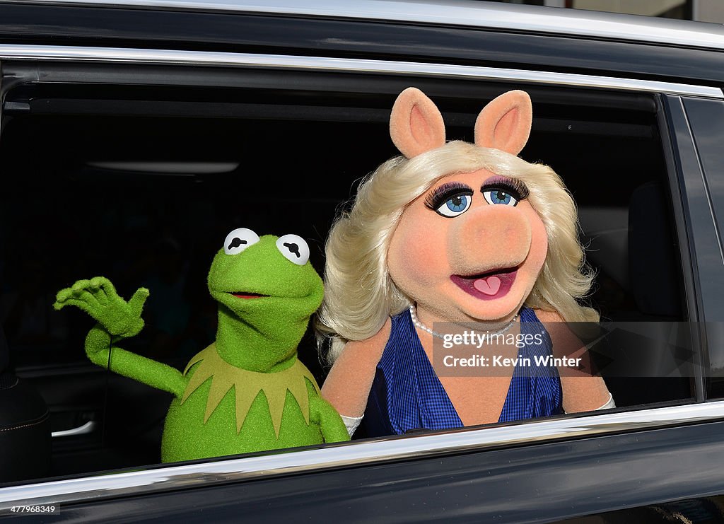 Premiere Of Disney's "Muppets Most Wanted" - Red Carpet