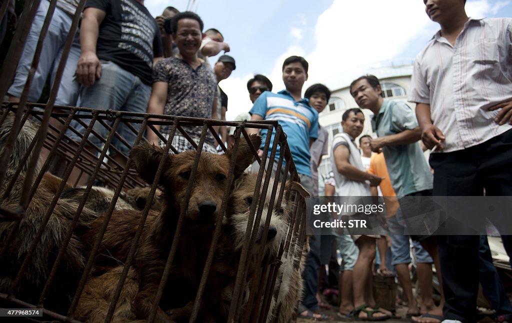 CHINA-ANIMAL-DOG