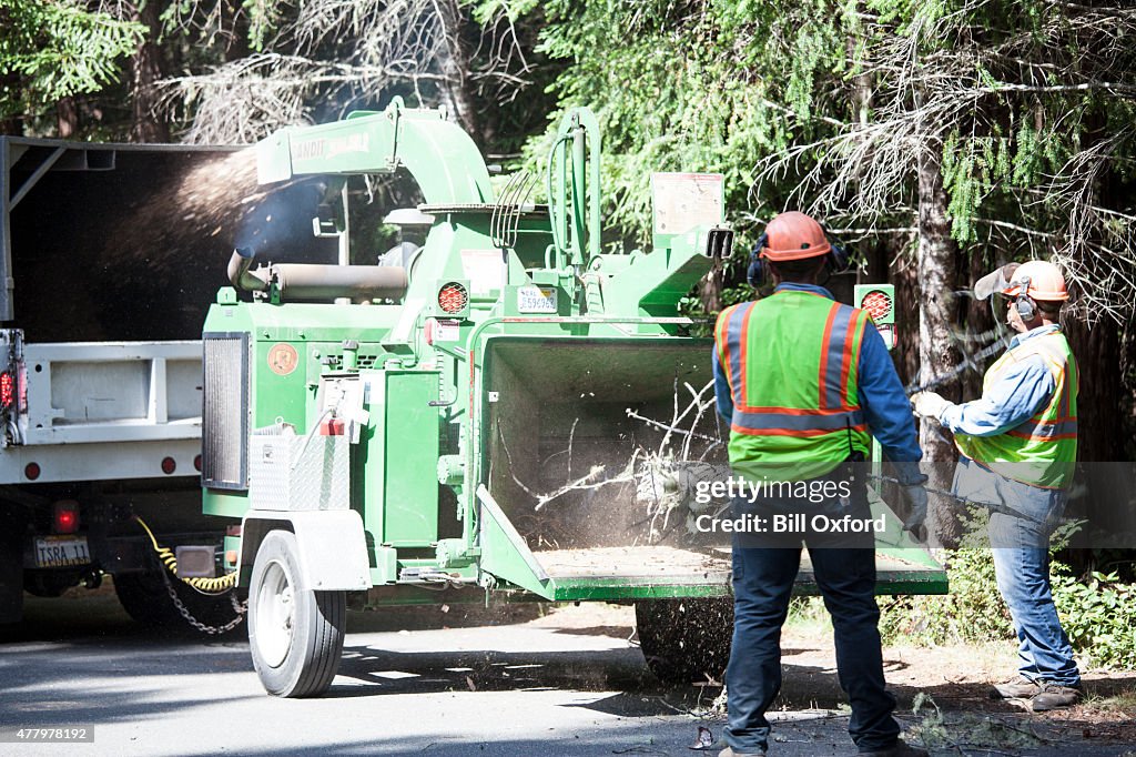 Wood Chipper