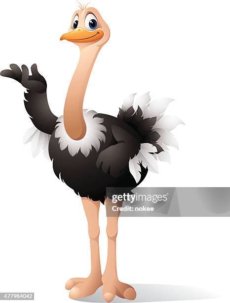 stockillustraties, clipart, cartoons en iconen met cartoon ostrich - ostrich